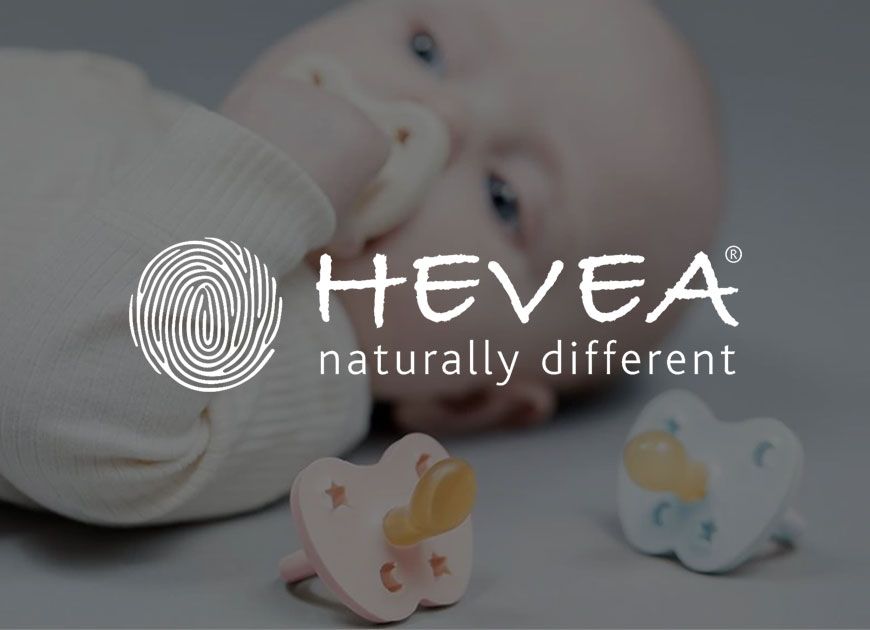 Hevea