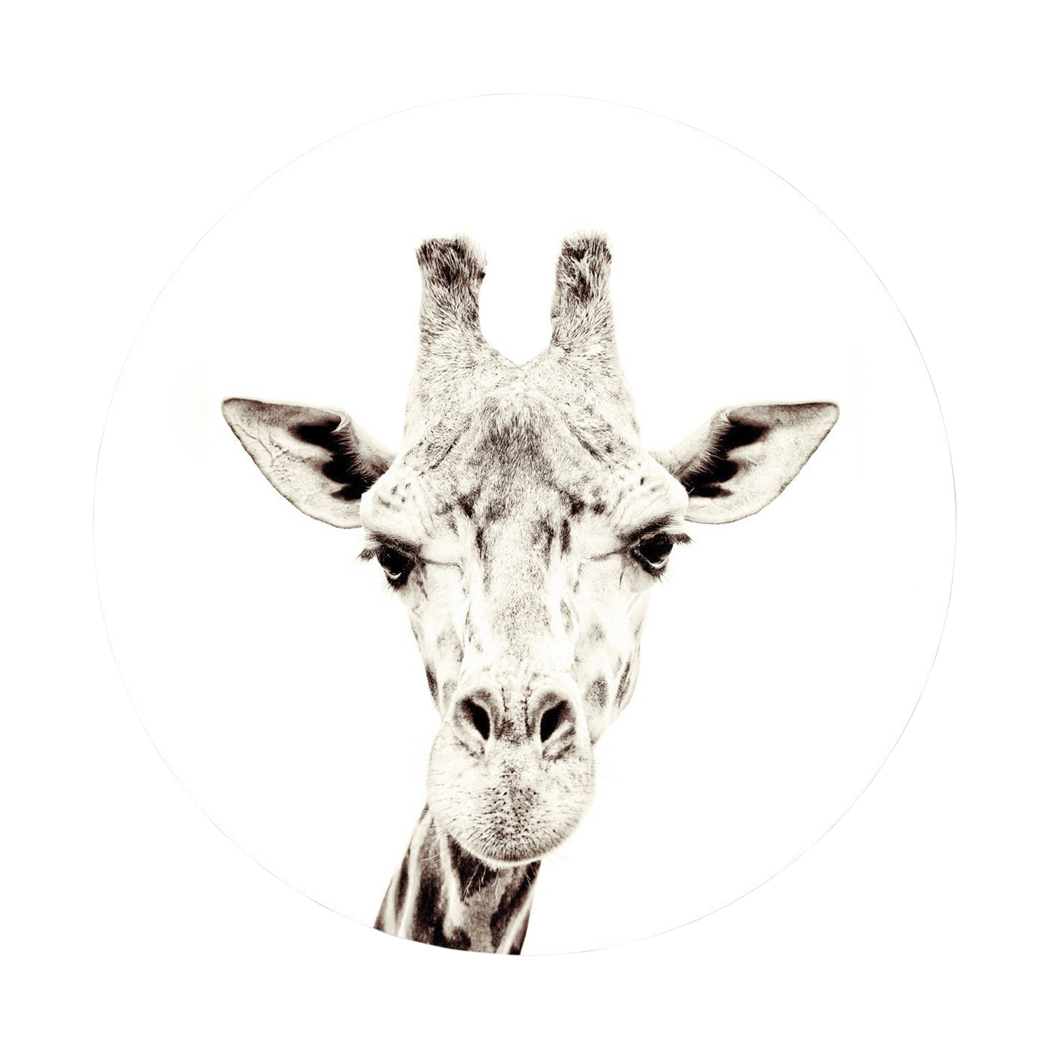 Groovy Magnets Giraffe Magneetsticker – Ø60 cm
