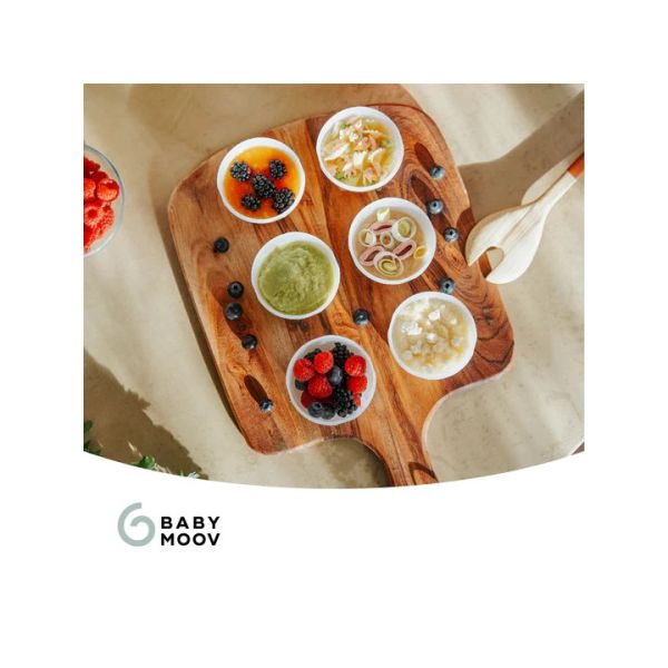 Babymoov Babybols Bewaarbakjes - 180 ml - 6 Stuks
