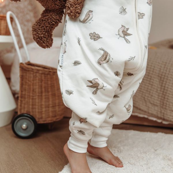 Meyco Baby Robin baby winter slaapoverall jumper met vaste mouw - multicolour - 104cm 