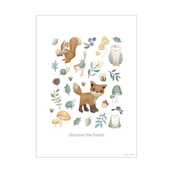 Little Dutch Poster - Forest Wonders - A3