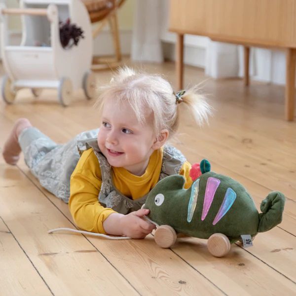 Sebra Carley The Chameleon Trekdier