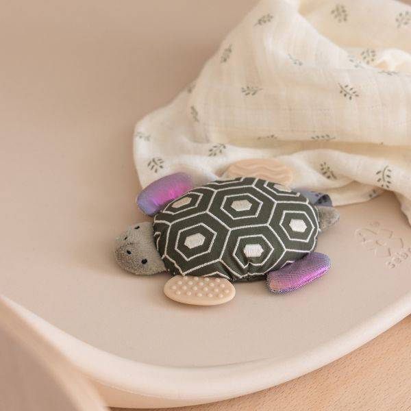 Sebra Activiteitenspeeltje - Turbo the Turtle - Met Spiegeltje