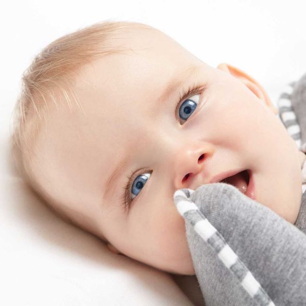 Love To Dream Swaddle UP - Mt. S - Grey 