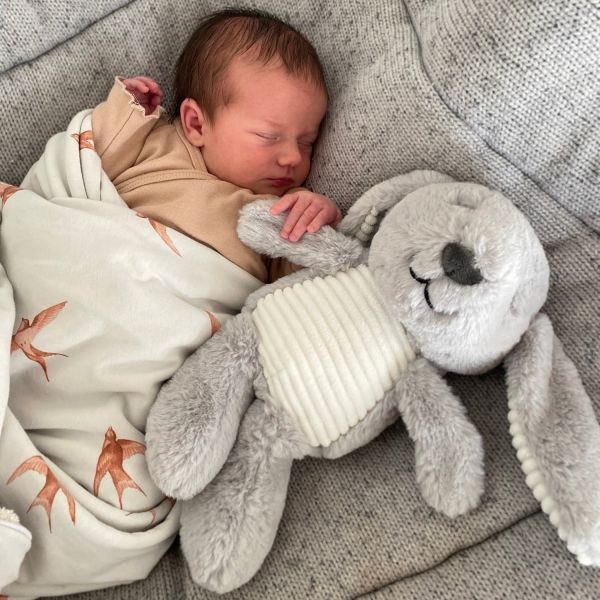 Flow Amsterdam Milo The Rabbit Hartslagknuffel Grey