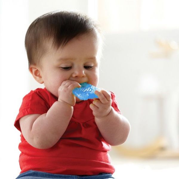 Munchkin Fun Ice Bijtring