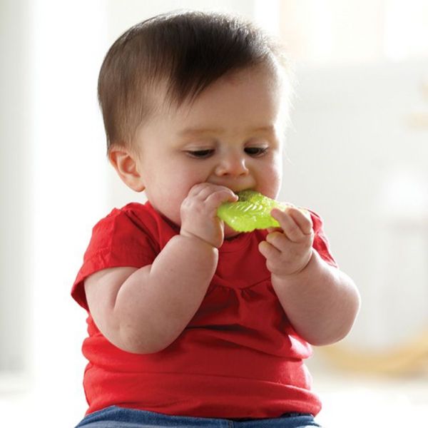 Munchkin Fun Ice Bijtring