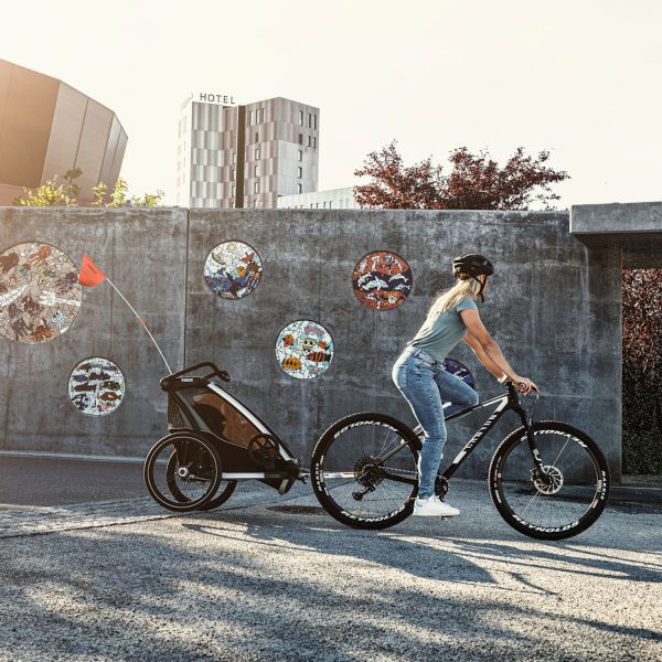 Thule chariot lite 2 bluegrass 2025