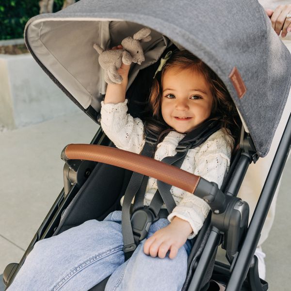 UPPAbaby VISTA V3 Kinderwagen 2-in-1 - Greyson