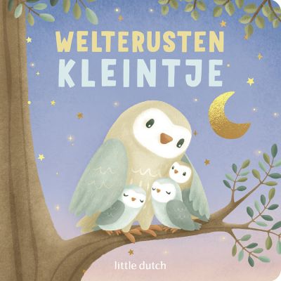 Little Dutch Boek - Welterusten Kleintje