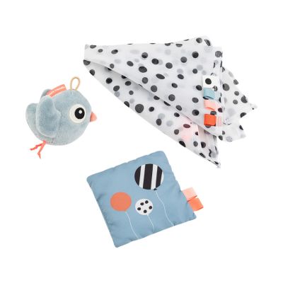 Done by Deer Tiny Sensory Toy Set Birdee - Blauw
