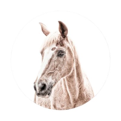 Groovy Magnets Paard Magneetsticker – Ø60 cm