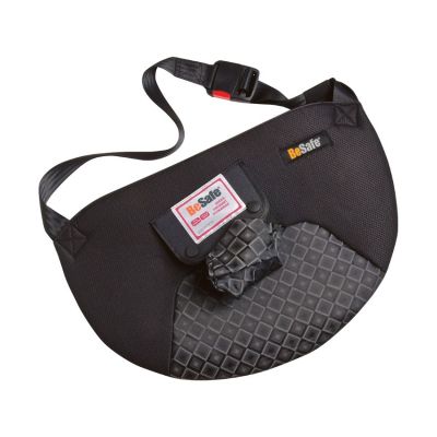 BeSafe Pregnant