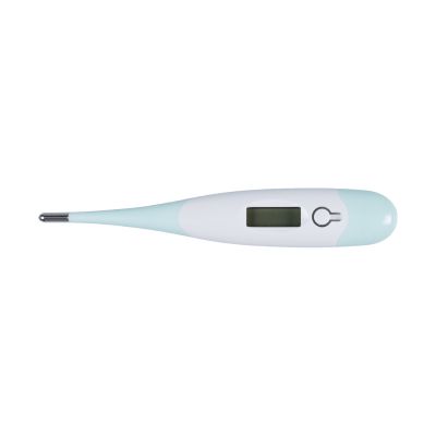 Babypark Digitale Thermometer Mint