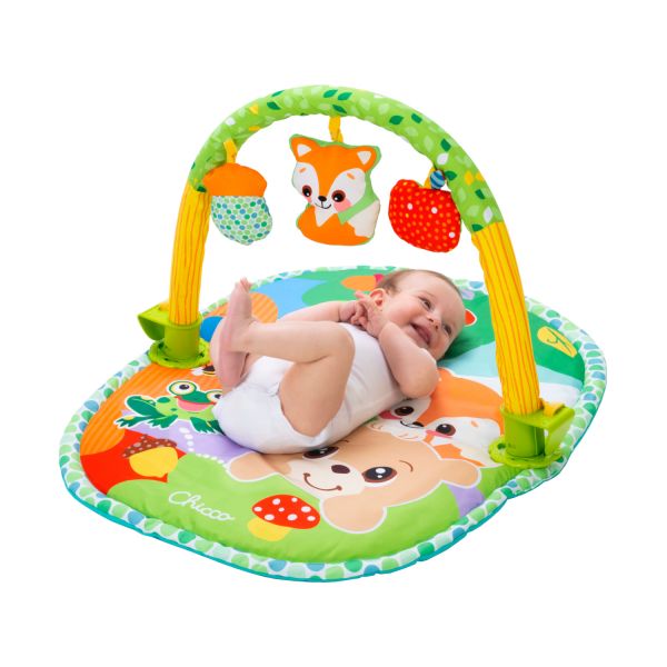 mengsel Empirisch bijzonder Chicco 3 in 1 Speelkleed Met Babygym | Babypark