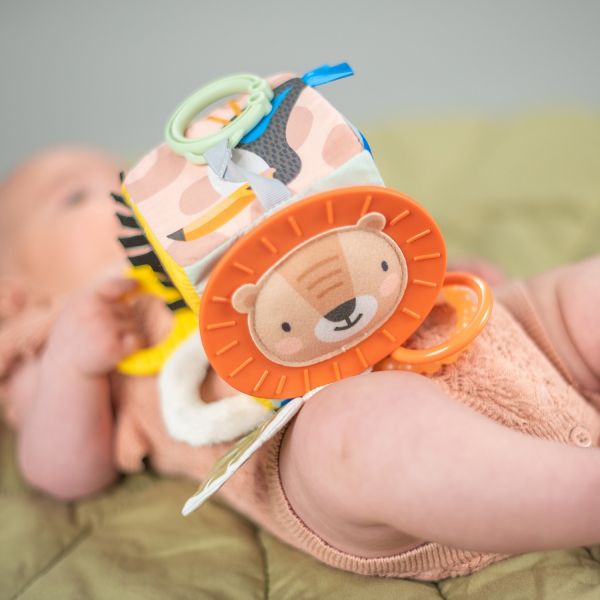 Taf Toys Savannah Activiteitenkubus